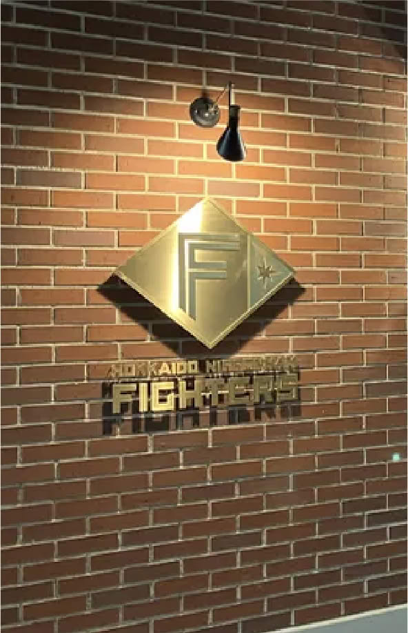 Private Stadium Tour