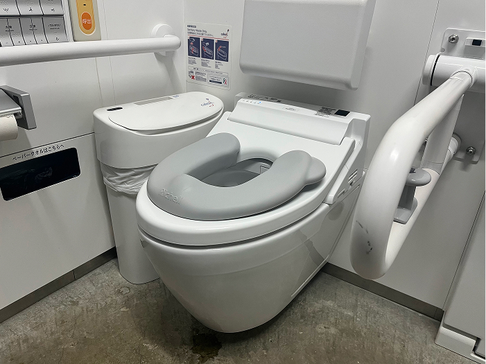 Booster toilet seat